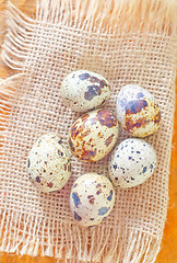 Image showing quail eggs