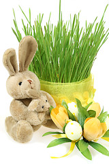 Image showing Easter bunny