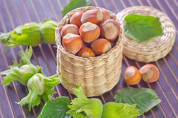 Image showing hazelnuts