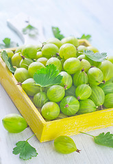 Image showing gooseberry