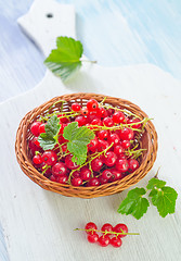 Image showing red currant