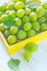 Image showing gooseberry