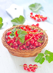 Image showing red currant