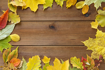 Image showing frame of many different fallen autumn leaves