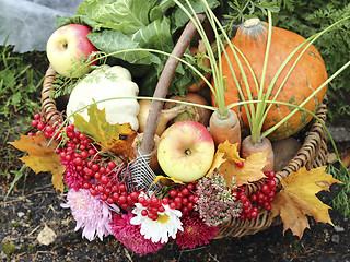 Image showing Fruit and vegetable in basket