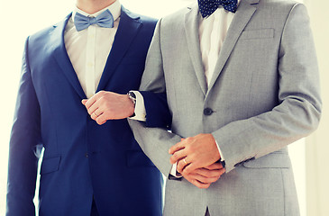 Image showing close up of happy male gay couple holding hands