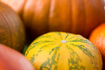 Image showing close up of pumpkins