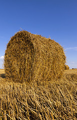 Image showing haystacks straw  . summer