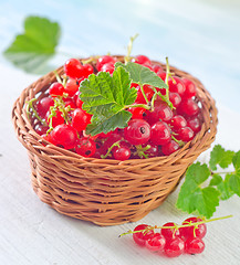 Image showing red currant