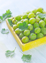 Image showing gooseberry