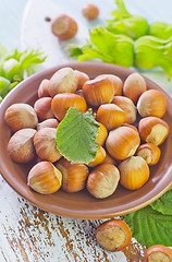 Image showing hazelnuts