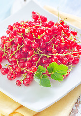 Image showing red currant