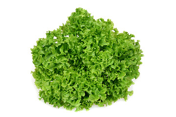 Image showing Isolated lettuce