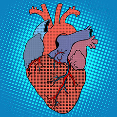 Image showing Anatomy human heart retro style