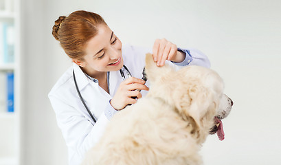 Image showing happy doctor with otoscope and dog at vet clinic