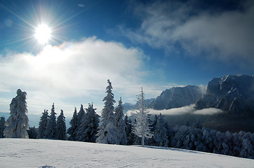 Image showing Winter heaven