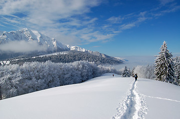 Image showing Path of snow