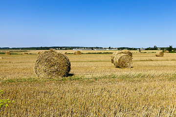 Image showing Stack of straw 