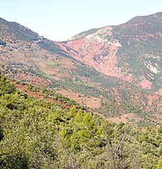 Image showing the    dades valley in atlas moroco africa ground tree  and nobo