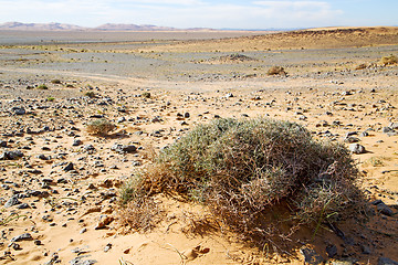 Image showing  old fossil in  the desert of rock  stone sky