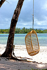 Image showing seat osier  lagoon  beach seaweed in nosy be indian 