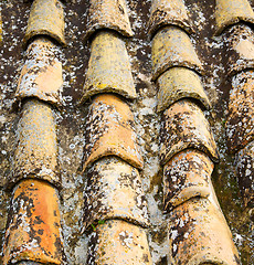 Image showing old moroccan  tile roof in the old city 