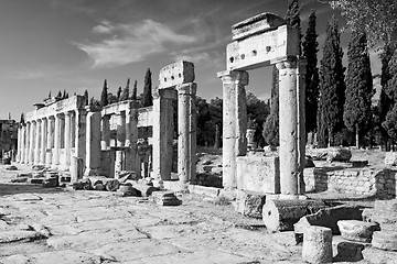 Image showing  anatolia pamukkale    old construction in asia turkey the colum