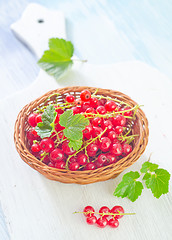 Image showing red currant