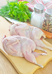 Image showing raw quail