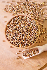 Image showing coriander