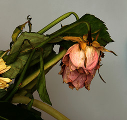 Image showing withered bouquet