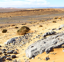 Image showing  old fossil in  the desert of morocco sahara and rock  stone sky