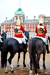 Image showing in london england horse and  