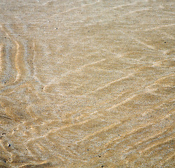 Image showing dune morocco in africa brown coastline wet sand beach near atlan