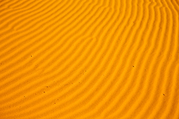 Image showing africa the   sand dune in     morocco desert line