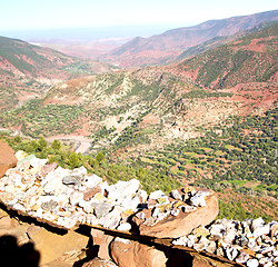 Image showing the    dades valley in atlas moroco africa ground tree  and nobo