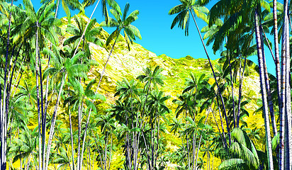 Image showing Oncosperma tigilarium - beautiful palm
