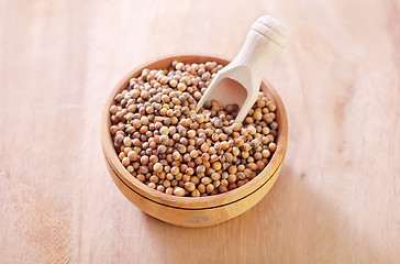 Image showing coriander