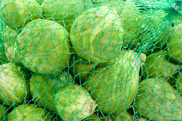 Image showing Close up from Brussels sprouts