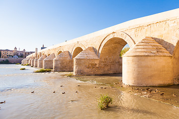 Image showing Roman Bridge of Cordoba