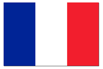 Image showing France Flag Shadow