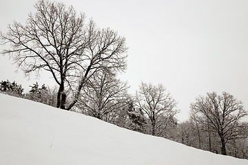 Image showing Winter Park .  snow.