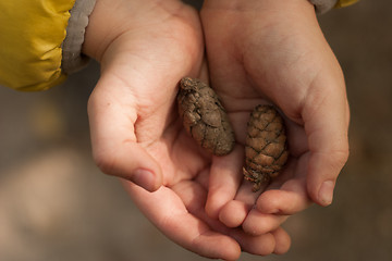 Image showing two bumps in the hands of a child. Soft focus