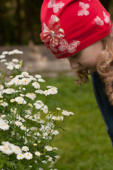 Image showing late bloomers