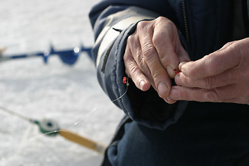 Image showing Fishing tips in the hands of the fisherman