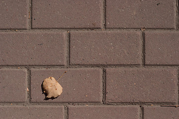 Image showing brick texture