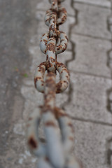 Image showing gray rusty chain