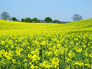 Image showing a may scene