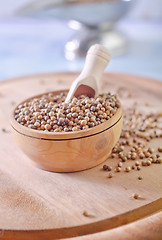 Image showing coriander