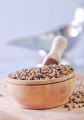 Image showing coriander